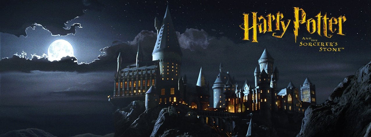 Harry Potter 25th Anniversary