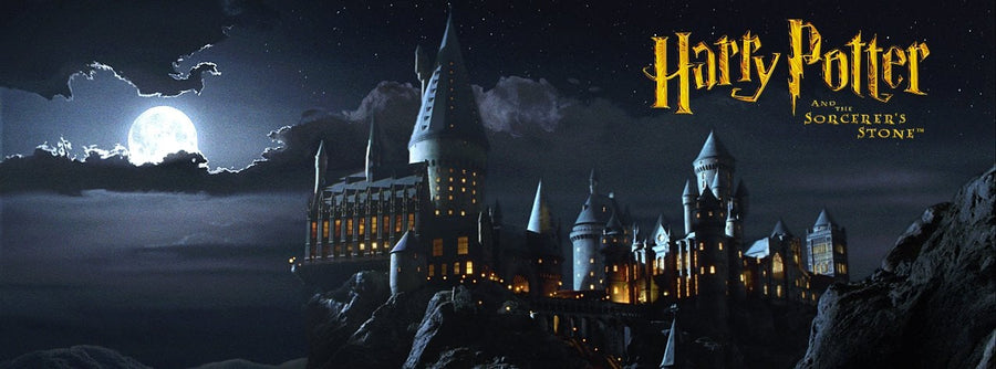 Harry Potter 25th Anniversary